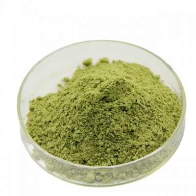 Organic Bulk sell Barley grass Powder