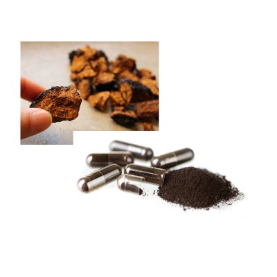 sueper bulk diabetes capsule chaga mushroom extract capsule