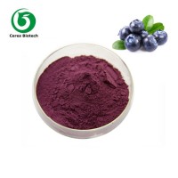 Sales! Organic Blueberry Juice Concentrate Powder Bulk